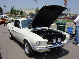 Картинка shelby автомобили ford