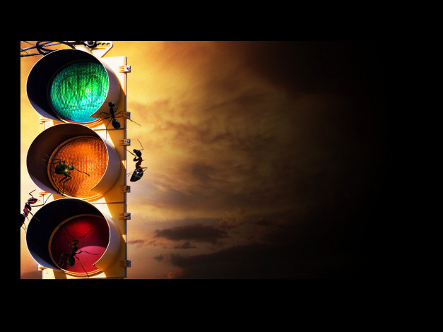 Обои картинки фото разное, другое