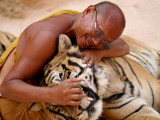 Обои картинки фото разное, люди