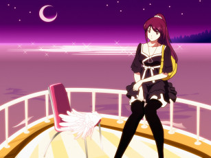 Картинка bakemonogatari аниме senjougahara+hitagi девушка платье сумка кулон небо месяц звезды вода отражение стул перья крылья