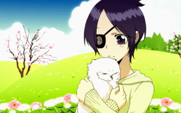 Картинка katekyo hitman reborn аниме