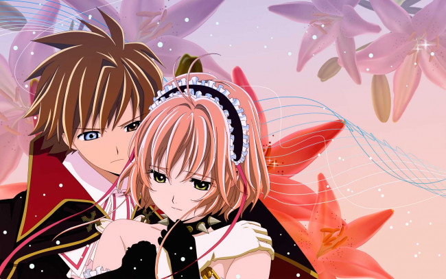 Обои картинки фото аниме, tsubasa, reservoir, chronicles