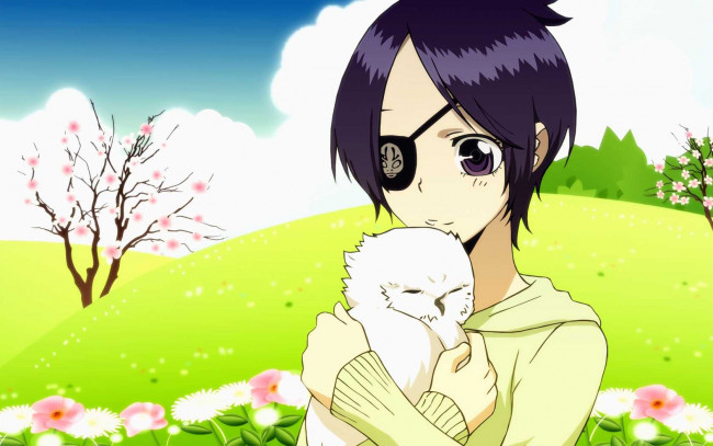 Обои картинки фото katekyo, hitman, reborn, аниме