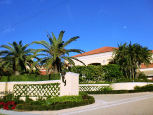 Картинка майами города улицы площади набережные пальма