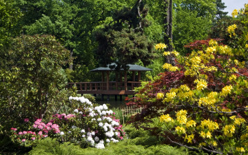 Картинка польша вроцлав природа парк цветы беседка река мостик