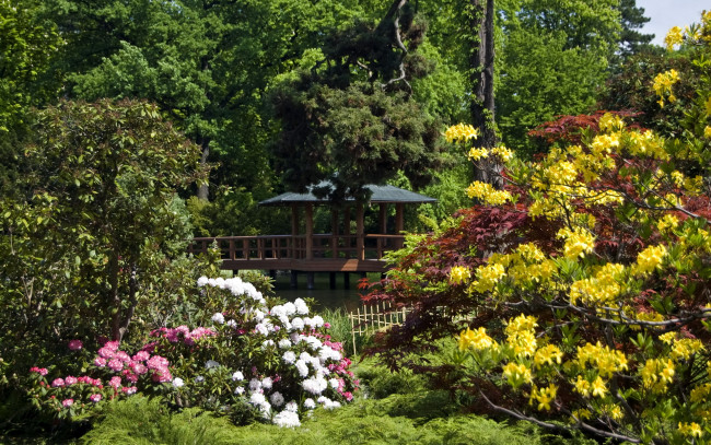 Обои картинки фото польша, вроцлав, природа, парк, цветы, беседка, река, мостик