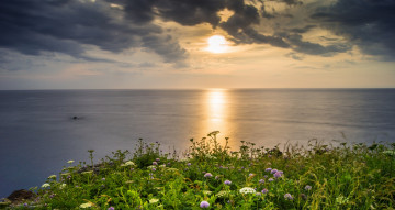 Картинка природа пейзажи цветы тучи закат море пейзаж