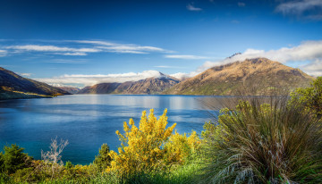 Картинка new+zealand++lake+wakatipu природа реки озера new zealand lake wakatipu горы озеро трава