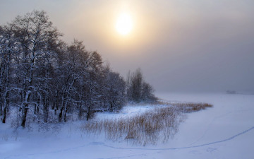 Картинка природа зима снег