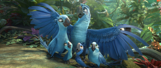 Обои картинки фото мультфильмы, rio 2, попугаи