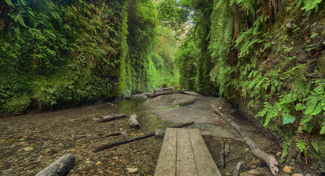 Обои картинки фото природа, реки, озера, растительность, мостки, ручей, скалы