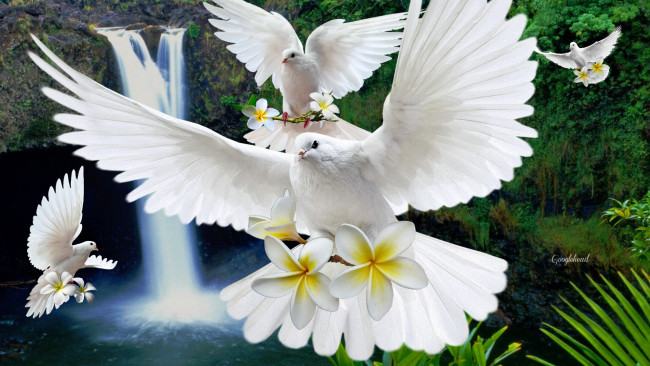 Обои картинки фото разное, компьютерный дизайн, голуби, цветы, водопад