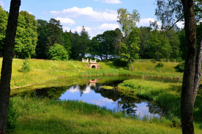 Обои картинки фото тракай литва, природа, парк, лето, озеро, деревья, тракай, литва