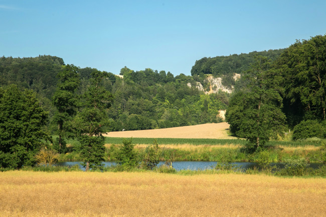 Обои картинки фото природа, реки, озера, бавария, германия, трава, деревья, река