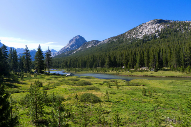 Обои картинки фото природа, реки, озера, ели, трава, пейзаж, горы, сша, вашингтон