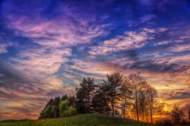 Обои картинки фото природа, восходы, закаты, тучи, зарево, пригорок, роща