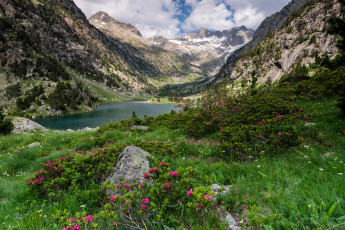 Картинка природа реки озера река лес горы