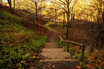 Картинка природа дороги ступеньки дорожка