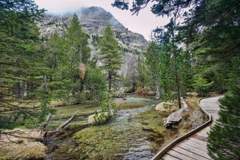 Картинка природа реки озера река горы лес