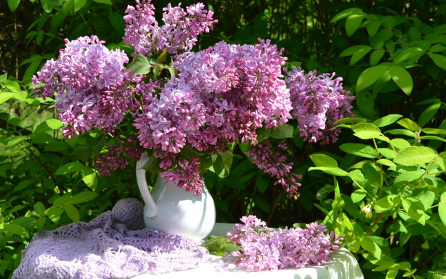 Обои картинки фото цветы, сирень, кувшин, дача, букет