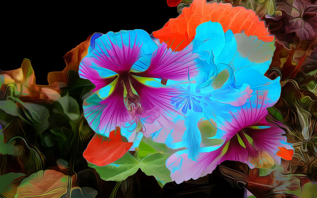 Обои картинки фото разное, компьютерный дизайн, краски, линии, цветы, рендеринг, лепестки