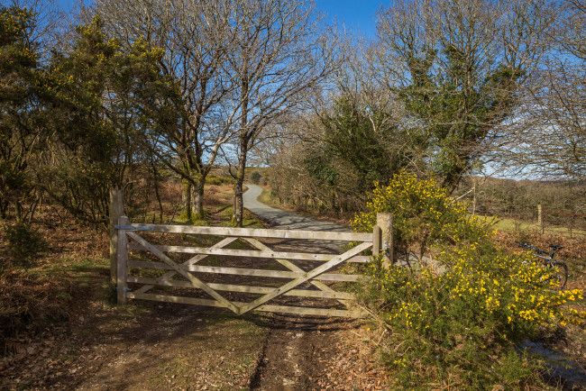 Обои картинки фото природа, дороги, дорожка, изгородь