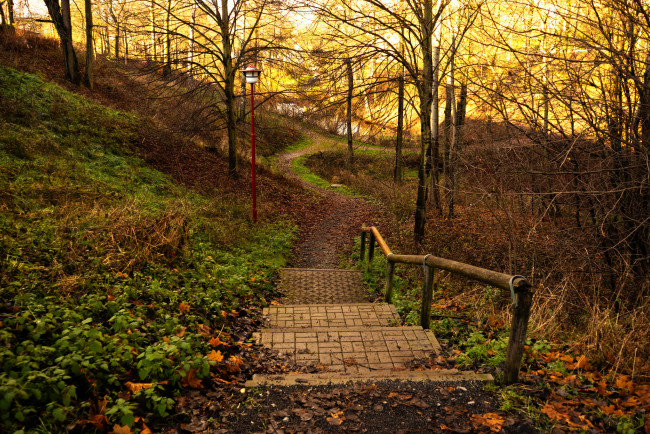 Обои картинки фото природа, дороги, ступеньки, дорожка