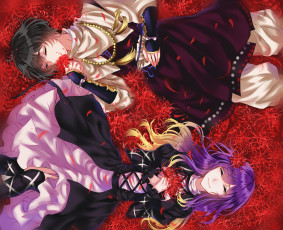 Картинка аниме touhou двое цветы