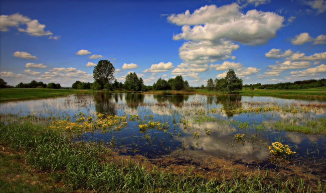 Обои картинки фото природа, реки, озера, лес, река