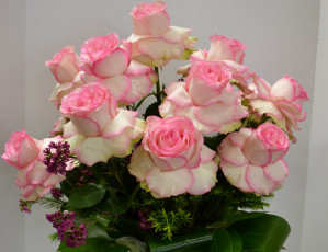 Картинка цветы розы розовый цвет