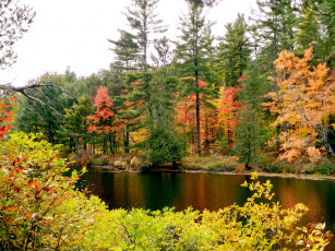 Картинка природа реки озера осень река лес