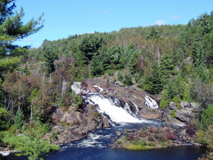 Картинка природа реки озера поток река деревья