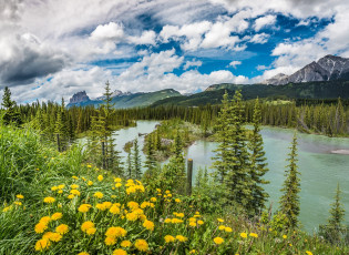 Картинка природа реки озера горы лес река