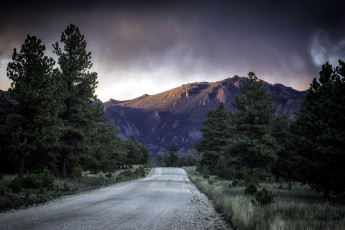 Картинка природа дороги деревья дорога горы