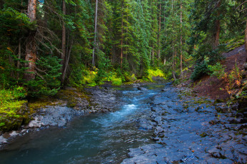 Картинка природа реки озера река лес