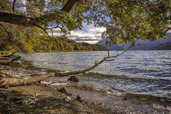 Картинка природа реки озера река лес