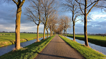 Картинка природа дороги деревья дорога канавы