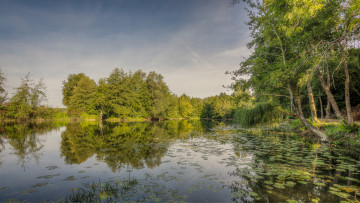 Картинка природа реки озера река лес