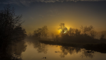 Картинка природа реки озера река лес