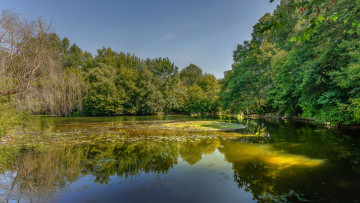 Картинка природа реки озера река лес