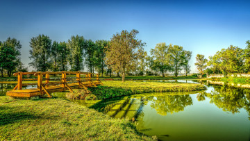 Картинка природа реки озера река лес