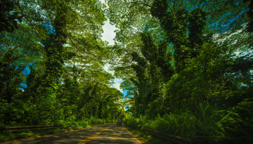 Картинка природа дороги шоссе