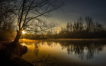 Картинка природа реки озера река лес