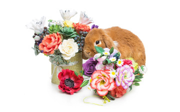 Картинка животные кролики +зайцы цветы flowers spring eggs кролик happy rabbit