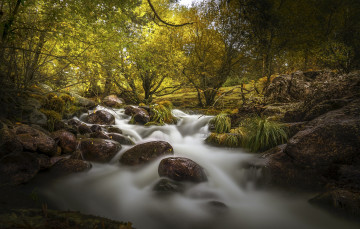 Картинка природа реки озера река лес