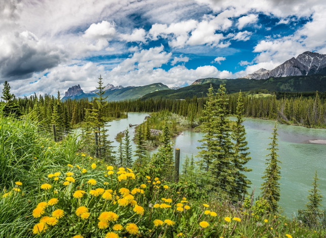 Обои картинки фото природа, реки, озера, горы, лес, река