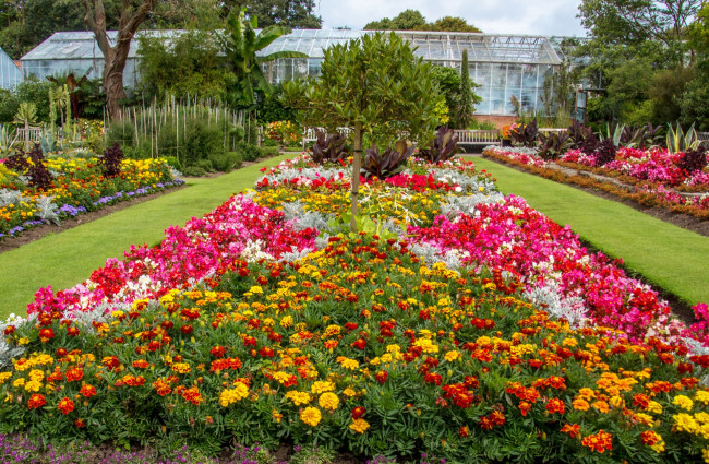 Обои картинки фото цветы, разные вместе, теплицы, разноцветные