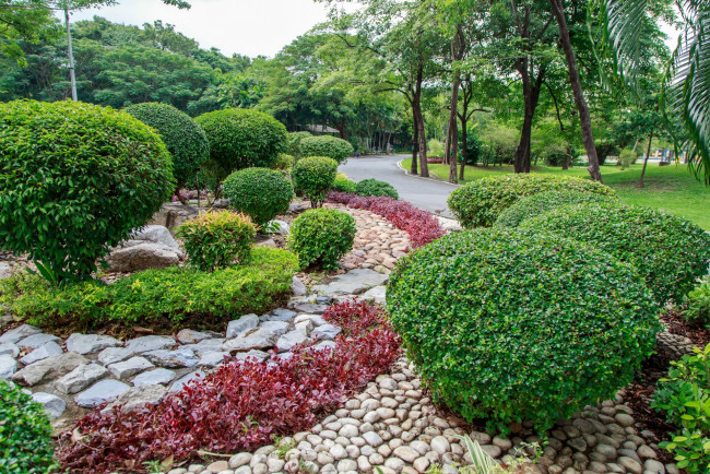 Обои картинки фото таиланд, природа, парк, деревья, кустарники, камни, растения