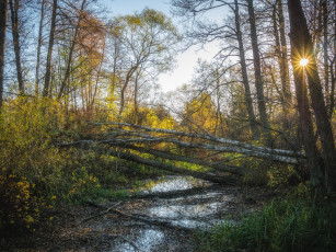 Картинка природа реки озера простор