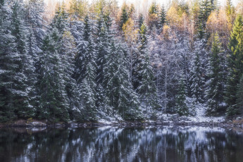 Картинка природа реки озера простор